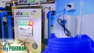 Alka Viva Water Philippines owners share their knowledge to aspiring entrepreneurs | My Puhunan