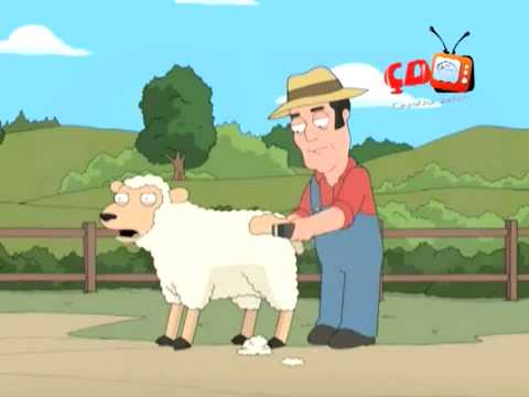Video: Çfarë ha koka e deleve?