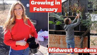 Greenhouse Growing Vlog | Seedlings, Plants, Banana Trees, Waterfall | Early February in Wisconsin