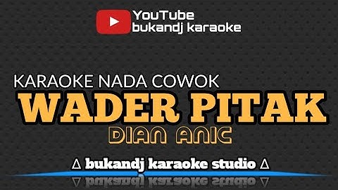 WADER PITAK KARAOKE NADA COWOK - DIAN ANIC | TARLING LIRIK TANPA VOKAL 2024