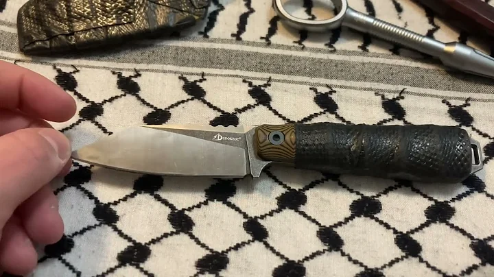 $35 Chinese SEAX - Fixed Blade Knife - DC53 Steel - G10 Handle - Kydex Sheath - SDOKEDC - off Amazon