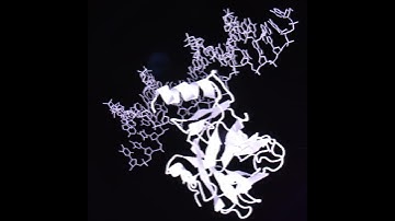 Human Genome Project for Proteins with Neil Kelleher, PhD