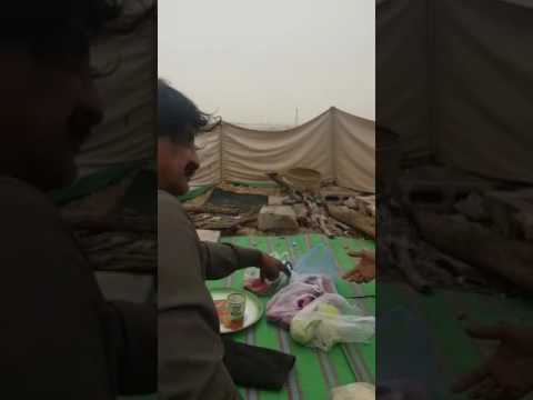 كشتة سكارى يقول  سنه وانا اخدمك اقطع لك بصل