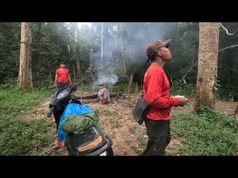 Heading into the woods to check traps, September 8, 2026