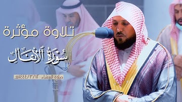 ﴿…وما كان الله معذبهم وهم يستغفرون﴾ عشائية مؤثرة من سورة الأنفال للشيخ د. ماهر المعيقلي |١٤٤٤/٣/١٢هـ