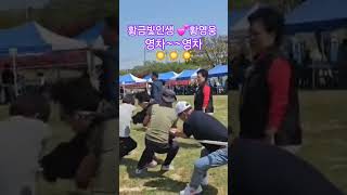 #황금빛인생 ##황영웅 #송촌초교체육대회 #shorts