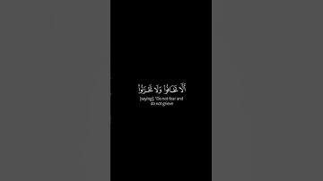 إن الذين قالوا ربنا الله | كروما شاشة سوداءقرآن - سورة فصلت |الشيخ فايح الحارثي