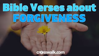 Bible Verses about Forgiveness - Uplifting Scriptures to Forgive Yourself and Others