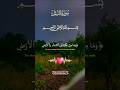 تلاوة تفوق الوصف قرأن كريم تخشع له القلوب #elmulquranعلم #قران_كريم #تلاوة  #trend #اكسبلور #aslam
