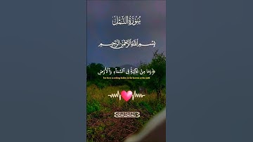 تلاوة تفوق الوصف قرأن كريم تخشع له القلوب #elmulquranعلم #قران_كريم #تلاوة  #trend #اكسبلور #aslam