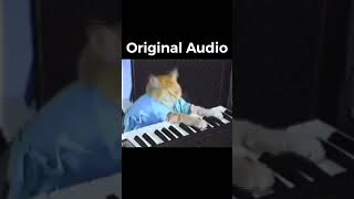 What he ACTUALLY played (Keyboard Cat Legend) #shorts28 #piano