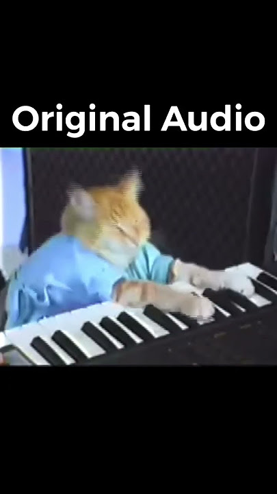 Download lagu What he ACTUALLY played 🐱(Keyboard Cat Legend) #shorts28 #piano