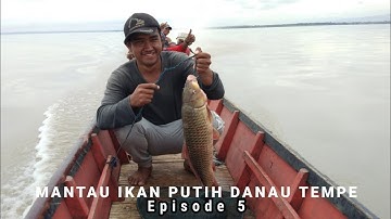 MANTAU IKAN PUTIH DANAU TEMPE | Episode 5