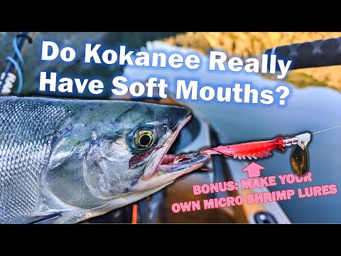 Do Kokanee Really Have Soft Mouths? [Make Your Own Kokanee Micro Shrimp  Lures] 