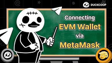 DuckCoop for Beginners: Connecting EVM Wallet via MetaMask - Duckies Guide Ep. 3 🦆🎓