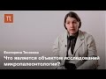 Микропалеонтология — Екатерина Тесакова