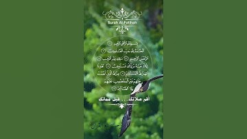 تلاوة خاشعة عطرة مباركة جميلة عذبة للشيخ هزاع البلوشي سورة الفاتحة