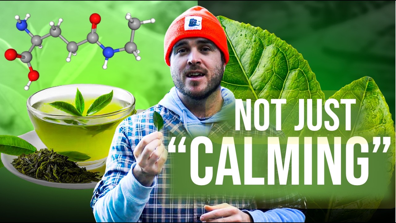 The Hidden Half of L-Theanine NOBODY Talks About | NEW (2026) Science Reveals What It ACTUALLY Does