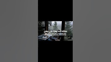 #راحة_نفسية #القرآن_الكريم #صلوا_على_النبي #تلاوات #استغفر_الله #سبحان_الله #الحمدلله