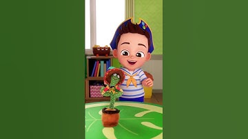 Thumbnail of Brody's Dancing Cactus Plush #bebefinn #shorts
