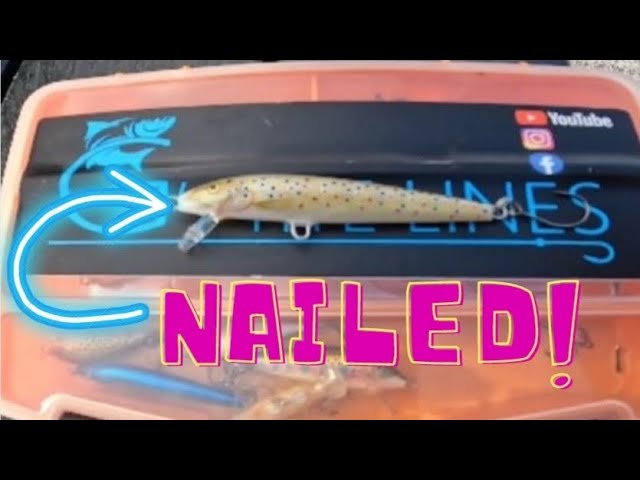 Lure fishing - Rapala nails BIG Brown Trout!! 