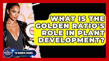 What Is The Golden Ratio