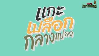 แกะเปลือกกลางแปลง l  ประโยชน์ของโดรนในทางการเกษตร