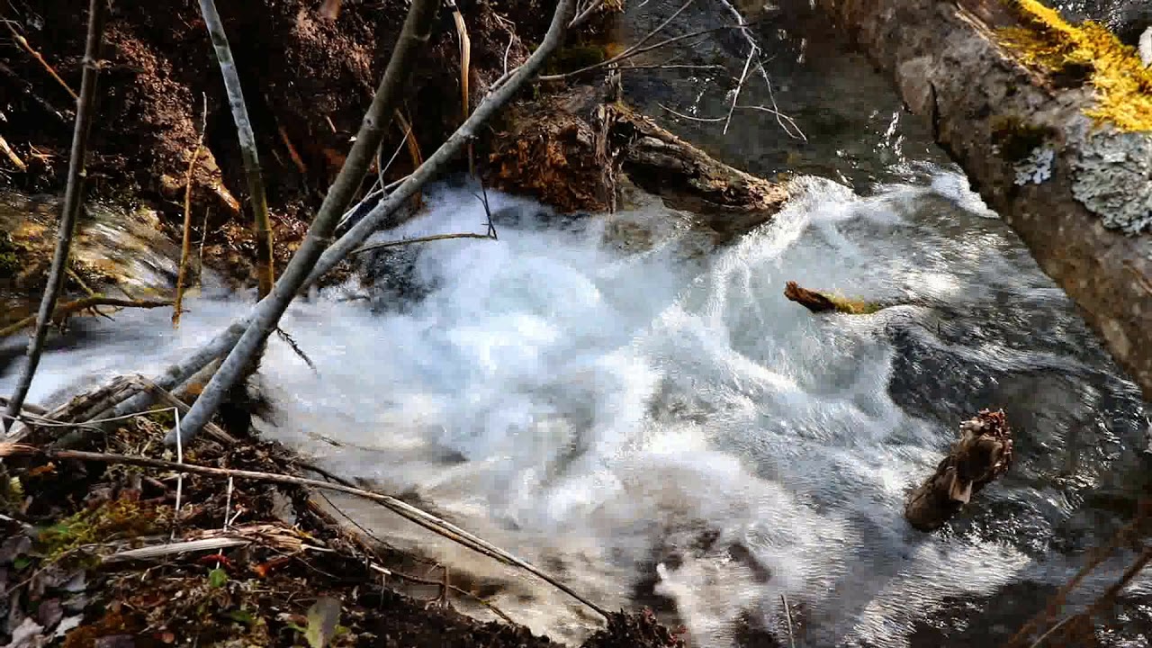 Звук ручья в лесу. Звук ручья. Звуки ручья в лесу. Звук воды ручей. Звуковой Ручеек.