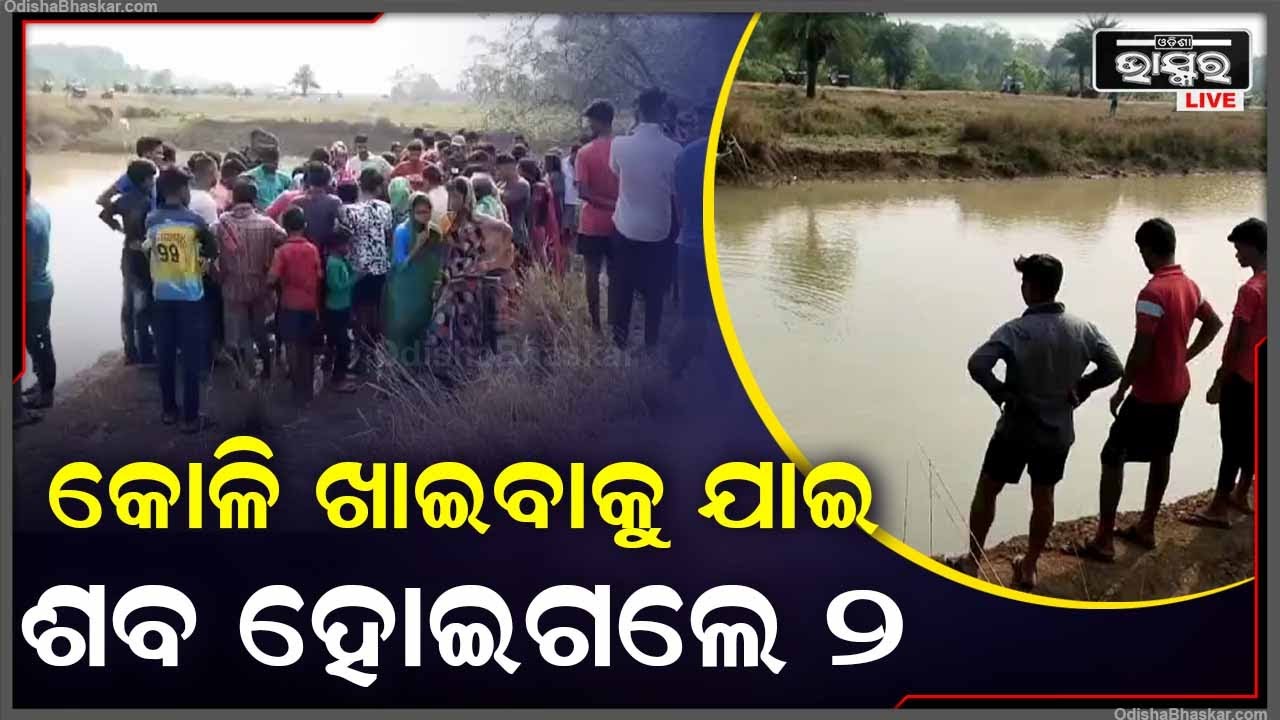 ଗାଁର ୨ ଜଣ ପିଲା କୋଳି ଖାଇବାକୁ ଯାଇଥିଲେ ବଣକୁ, ହେଲେ ଘରକୁ ଆଉ ଫେରିଲେ ନାହିଁ