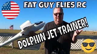 4S Dolphin Jet Trainer from Value Hobby!! by Fat Guy Flies RC