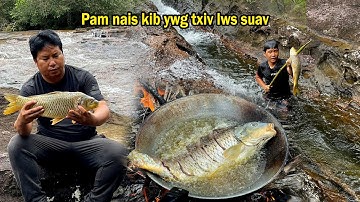 Kib ntses ywg txiv lws suav qab tiag 24/07/2021