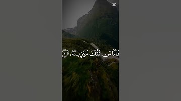 سورة القارعة بصوت القارئ الشيخ إسلام صبحي ♥️😌#quran #اسلام_صبحي