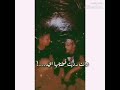 تسلم الهيبه اللى مخلياكوا متعرفوش تتكلموا علينا غير فى الغيبه