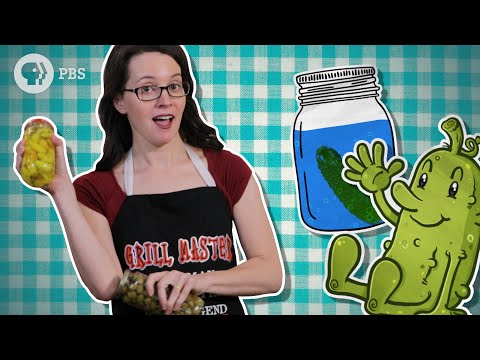 Video: Hvad betyder pickles?