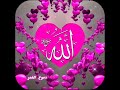 أجمل مقطع اللهم إني حصنت نفسي بالحي القيوم دعاء جميل مستجاب بإذن الله مساء النور والسرور 