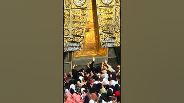 Mashallah ❤️ #egzonibrahimi #سورة_الإخلاص #ikhlas #beautiful #tiktokeffects #trustonallah #jaidmeel