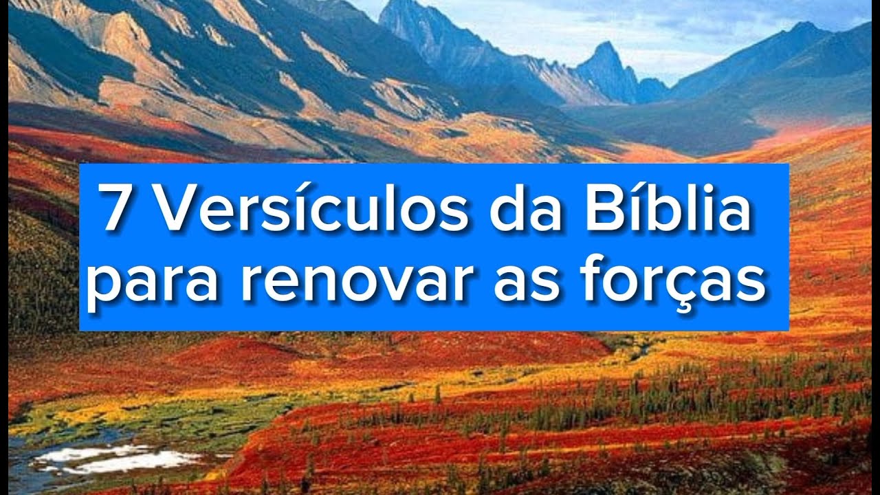 7-vers-culos-da-b-blia-para-renovar-as-for-as-youtube