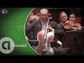 Capture de la vidéo Elgar: Cello Concerto - Bergen Philharmonic Orchestra And Truls Mørk - Live Concert Hd