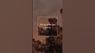 The way of the tears - sped up #nasheed #islamicvideo