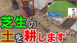 【芝生の更新作業】効果絶大コアリングで芝生の床土を耕しますこのひと手間で大きな違い オッサンの肉体労働に感動[2024#03]