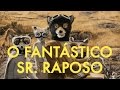 Estudo de cena: O Fantástico Sr. Raposo e o simbolismo do lobo