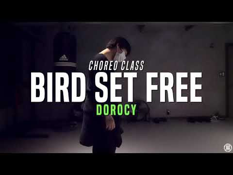 Sia - Bird Set Free | Dorocy Class | Justjerk Dance Academy