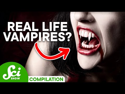 Video: Vai vampīri ir aukstasinīgi?