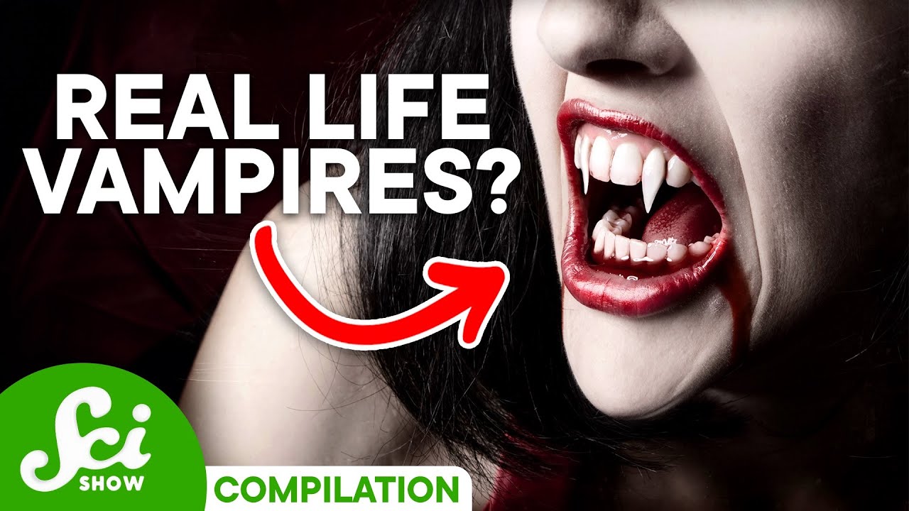 Vampires Could Be Real and Here's Why 