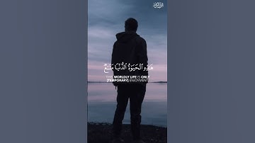 الشيخ محمد صديق المنشاوي 🎧 سورة غافر