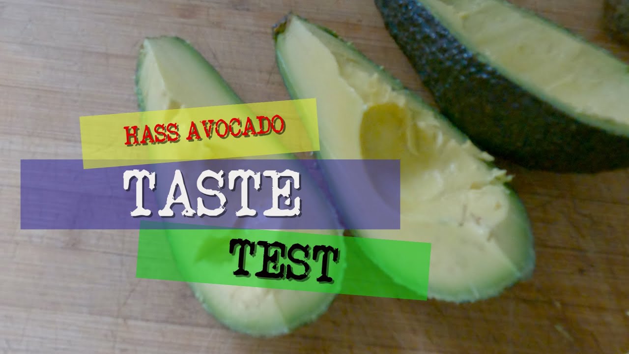 avocado taste test - YouTube