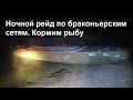 Ночной рейд по браконьерским сетям на Ворскле и Коломаке. Кормим рыбу, снимаем дорожку