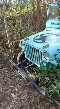 Willys in Forest.. fun drive with Willy's jeep kerala