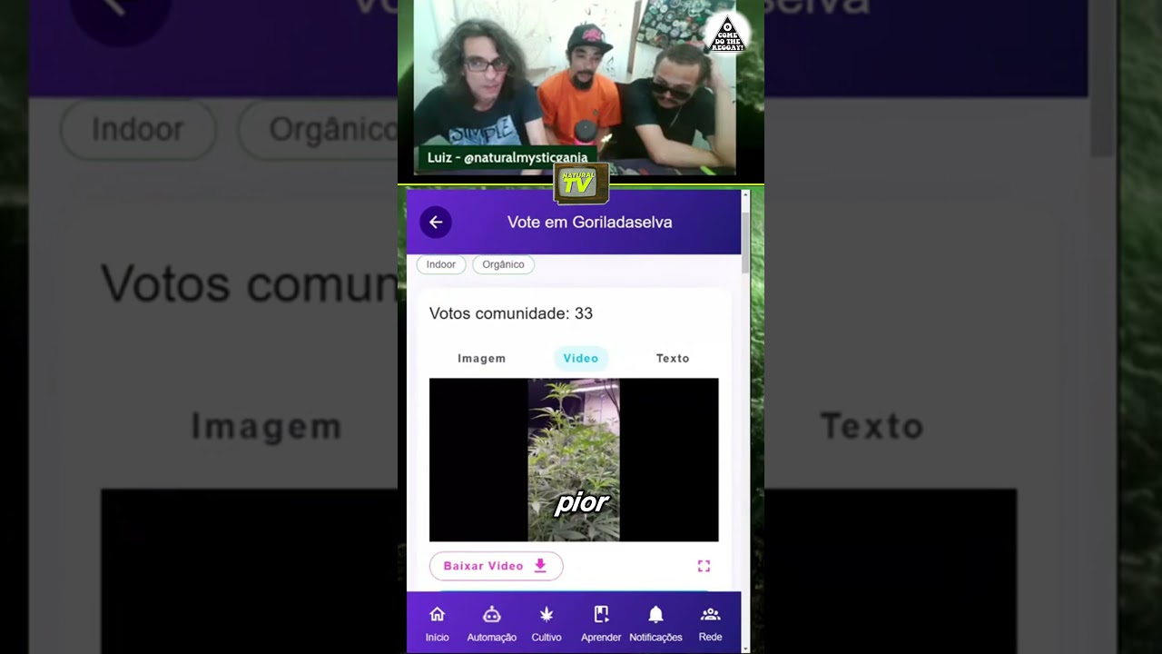 Sala de Cultivo Indoor na Ganza.app! 🌱 Cola na Ganzá pra acompanhar cultivos de qualidade!
