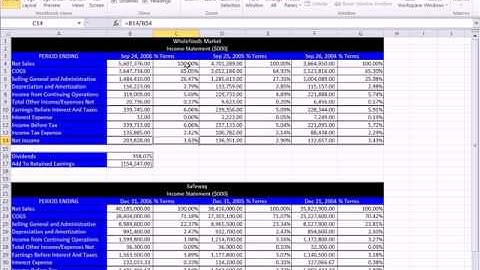 ACCTG 455: Excel Finance Class 15: Common Sized Financial Statements